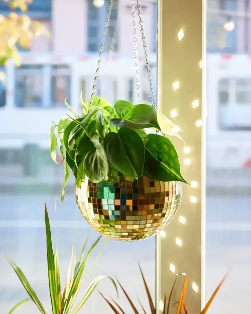 Pretty Pothos in a Disco Globe Hanger