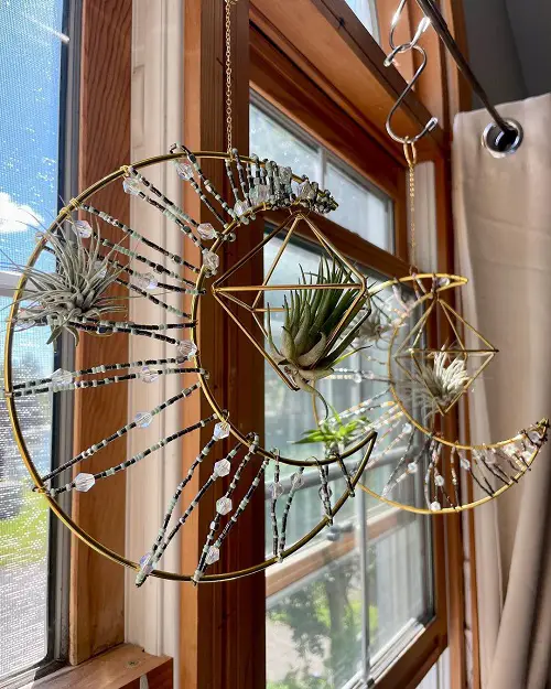 Best Hanging Plants in Front of Windows Ideas