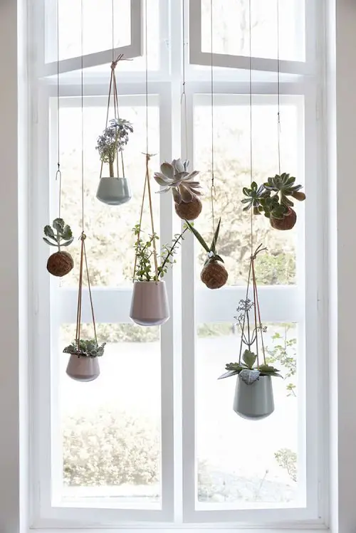 Zig-zag Arrangement of Hanging Succulents