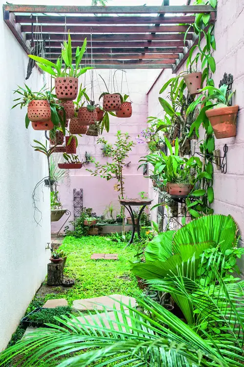 Tropical Yard Corner Shaded with Hanging Houseplants