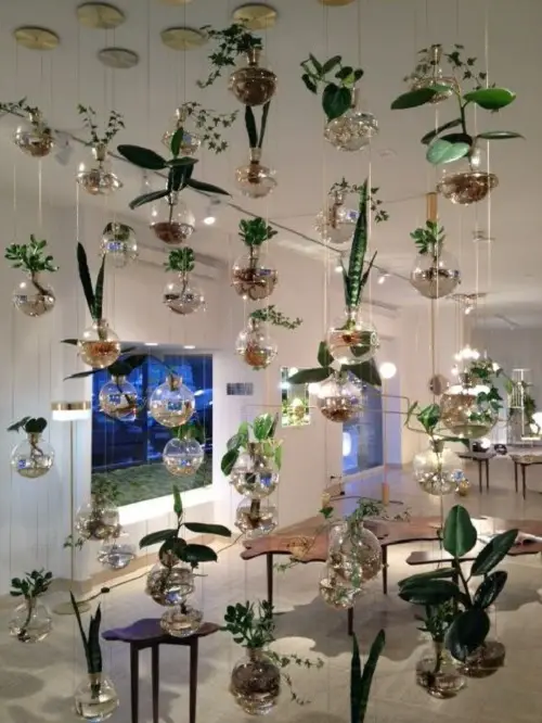 Modern Hanging Glass Planter Ideas