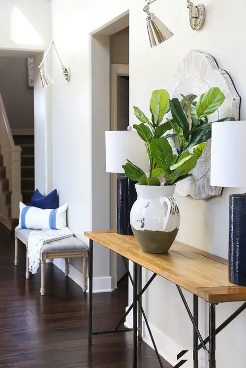 Small Fiddle Leaf Gracing the Foyer Interior