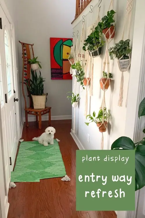 Foyer Vertical Macrame Garden