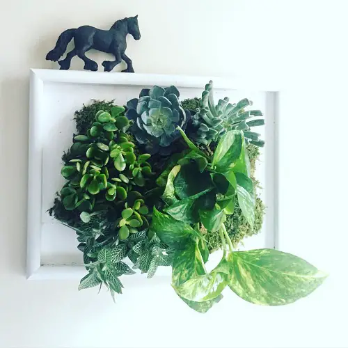 Botanical Wall Frame