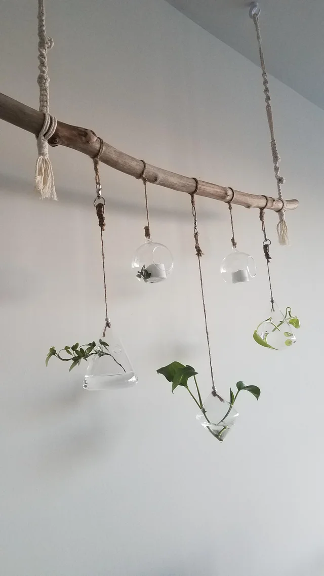 Hanging Glass Planters on Tree Branch