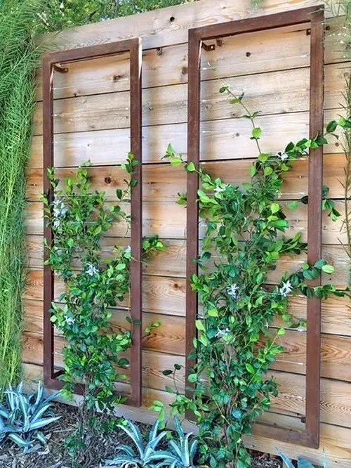 Garden Wall Frame for Climbing Plants