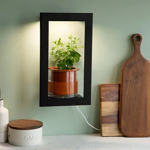 Glowlight Wall Frame Shelf