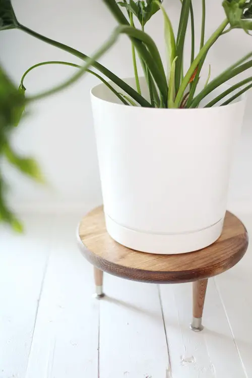 Beautiful Arrangement
