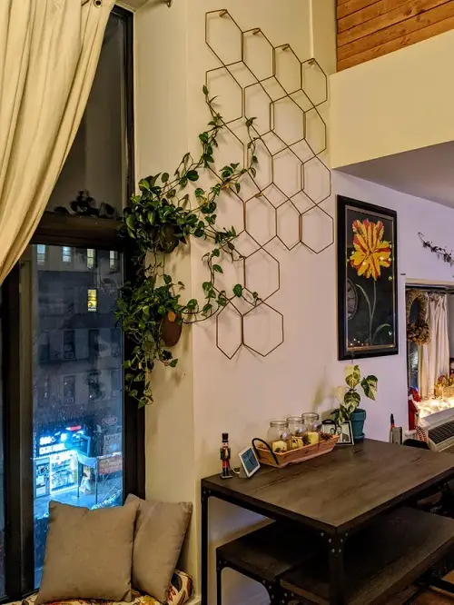 Pothos Vining up Hexagonal Wall Stakes