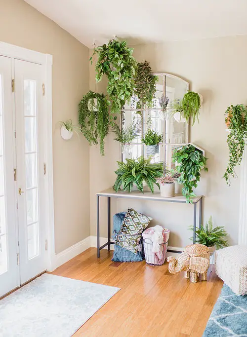 Weeping Houseplants on the Foyer Wall