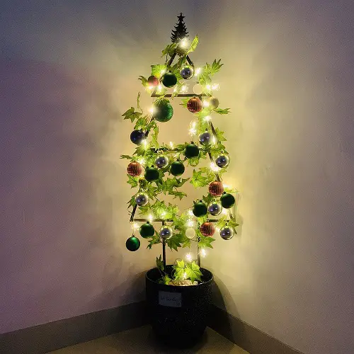 Indoor Winter Gardening Projects for December