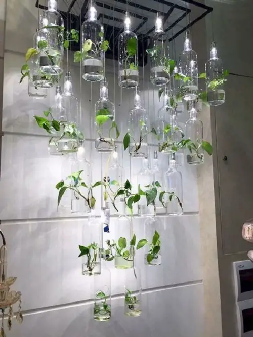 Hanging Glass Planters with Lights