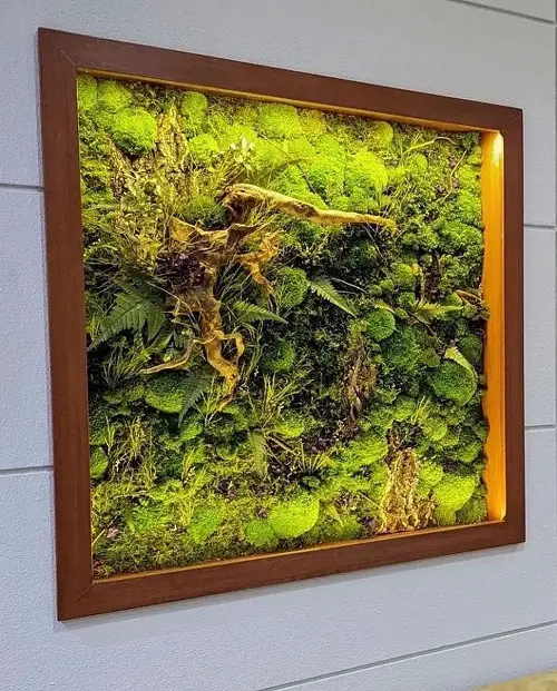 Wall Lit Indoor Plant Frame