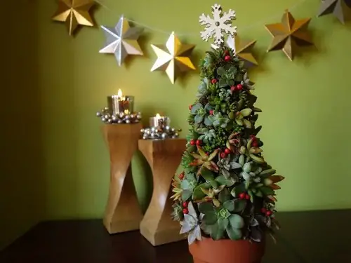 Group Succulents to Build a Christmas Tree Centerpiece