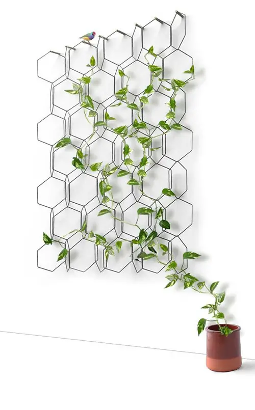 Diy Hexagonal Wall Trellis