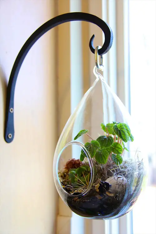 Hanging Glass Planter Hook