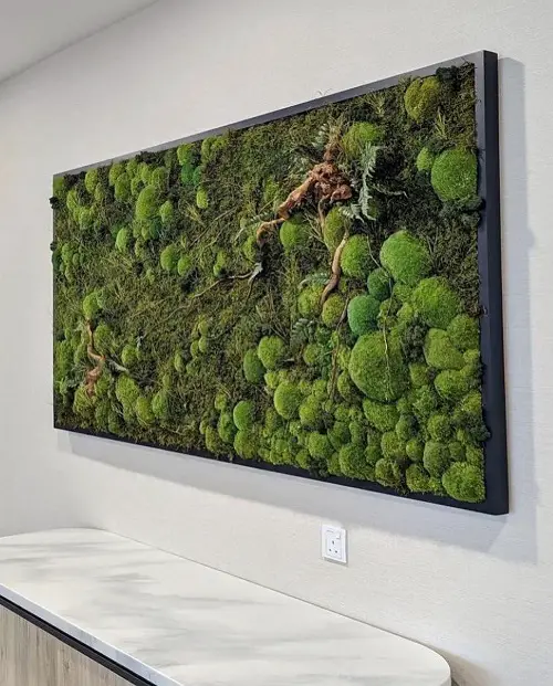 Elegant Moss Bed Wall display