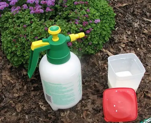 Use Milk Solution