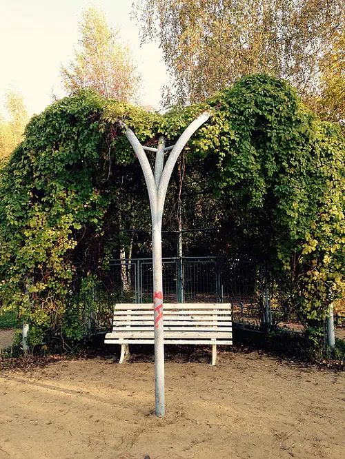 Leafy Shelter from the Sun 5