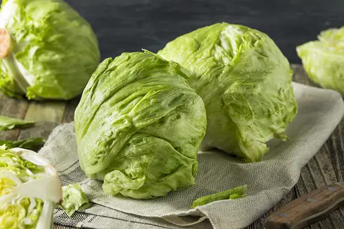 Round Green Vegetables to Grow in Pots and Garden