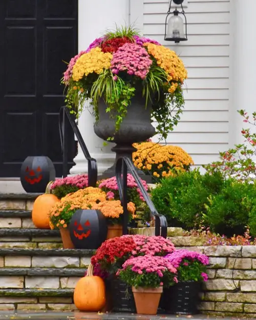 Add a Colorful Appeal