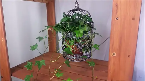 Bird Cage Plant Hanger