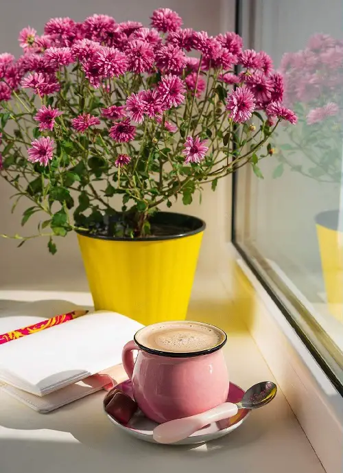 Popular Flower for decor