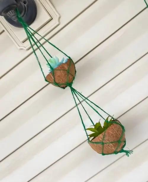 DIY Plant Hangers from Coconut Shell Hanger