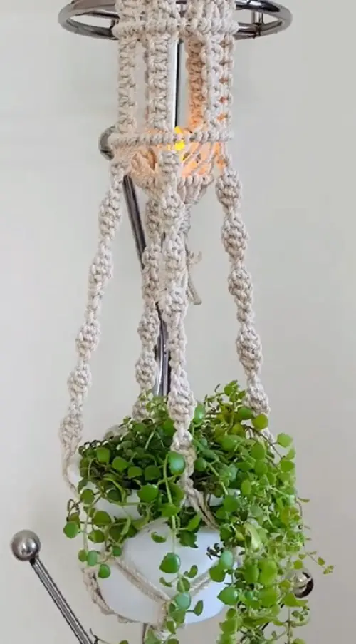 DIY Plant Hangers from Macrame Lantern Hanger