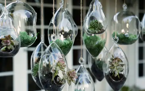 DIY Plant Hangers from Plant Hanger with Old Chandelier
