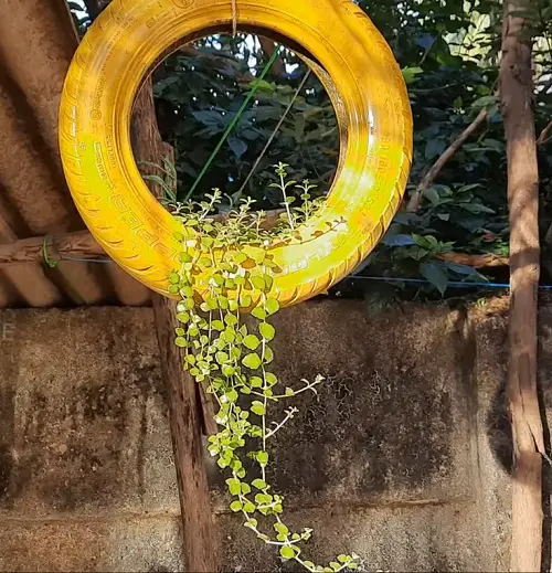 Plant Hanger with Tire