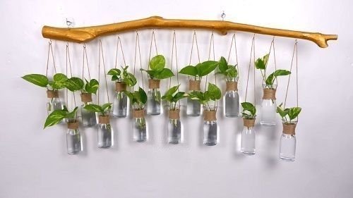DIY Plant Hangers from Tree Branch Hanger