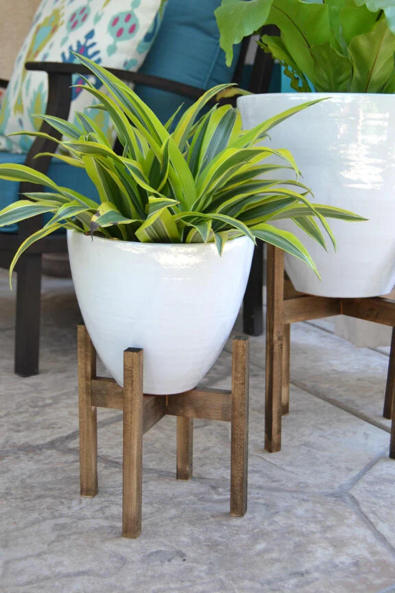 Basic Plant Stand