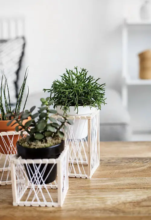 Handcrafted Plant Stand