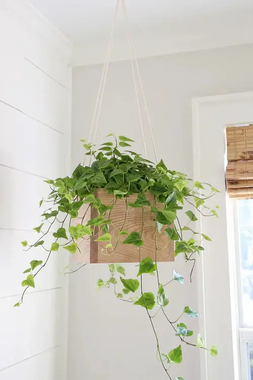 Suspended Box Hanger