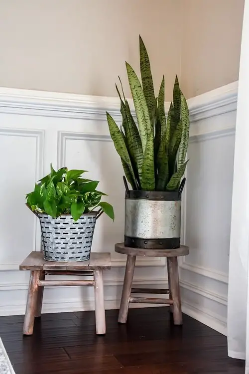 Wooden Stools as a Plant Stand