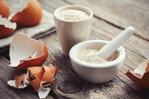 Best Fertilizers for Lucky Bamboo Plants Eggshells