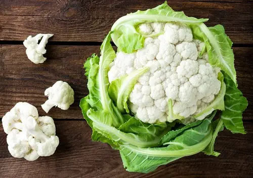 Best Round Green Vegetables to Grow in Pots and Garden