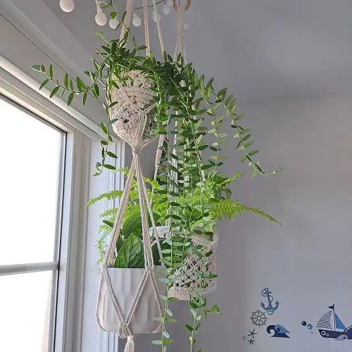 Hanging Houseplants in Macrame Pot Covers