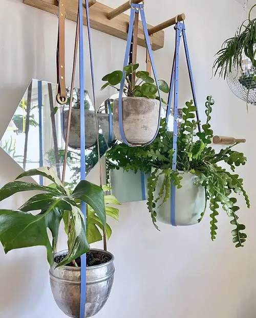 Belt Plant Hangers for a Creative Look