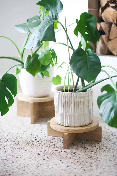 DIY Plant Risers for Indoor Plants