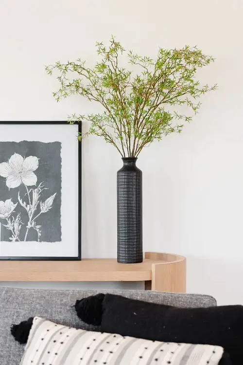 top Plant Cuttings that Look Good in Vases