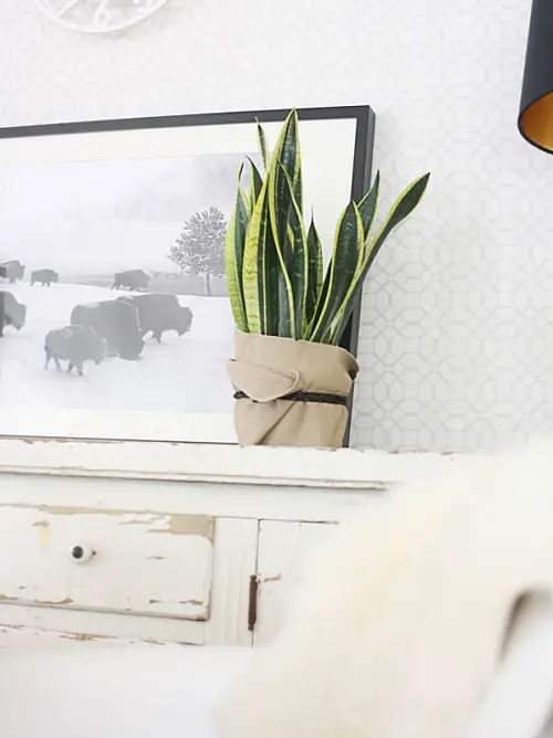 DIY Leather Planter