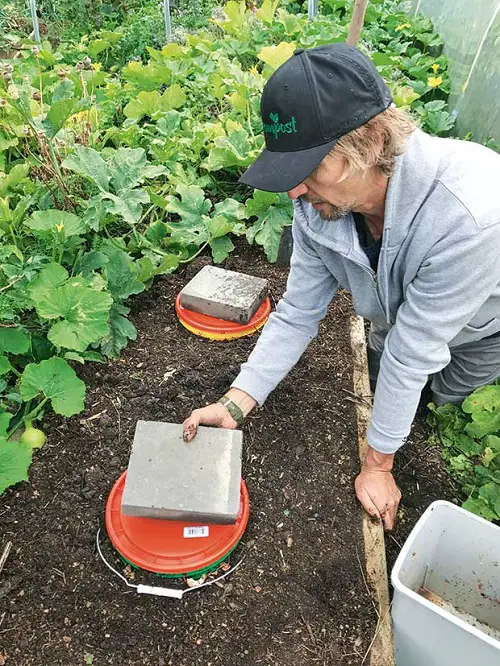 In Ground Compost Bin Ideas 1