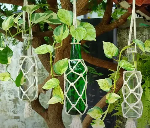 Modern Hanging Glass Planter Ideas Knotted Bottles Glass Planter