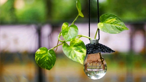 Light Bulb Vase Hanger
