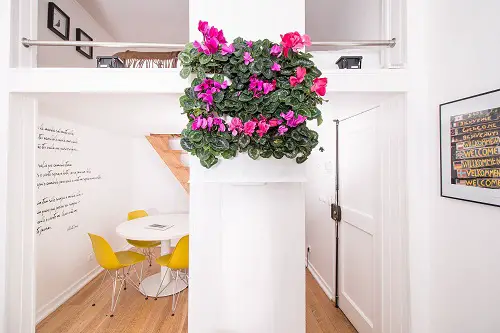 Gorgeous Cyclamen Frame around the Central Pillar