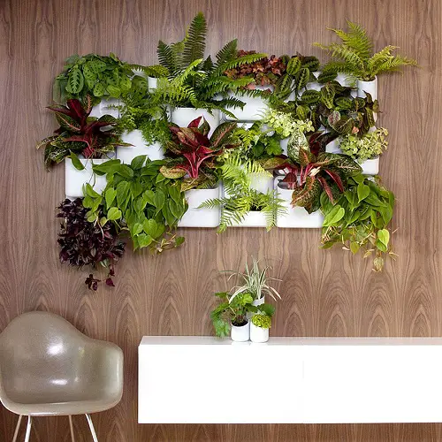 Plant Pockets with Variegated Houseplants on the Wall