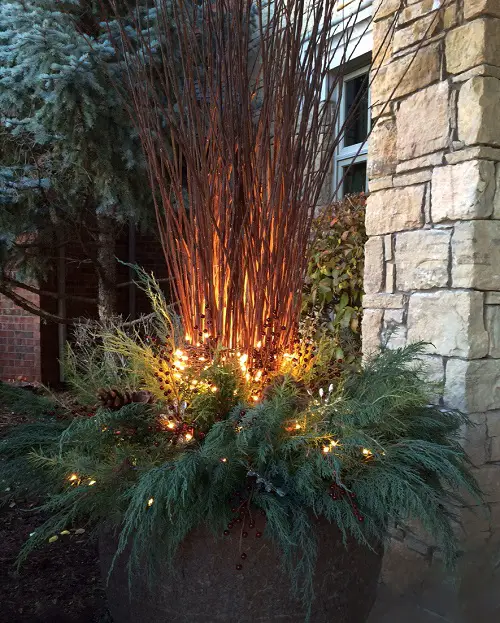 Front porch winter planters that work best 19