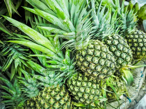 Green Fruits with Pictures